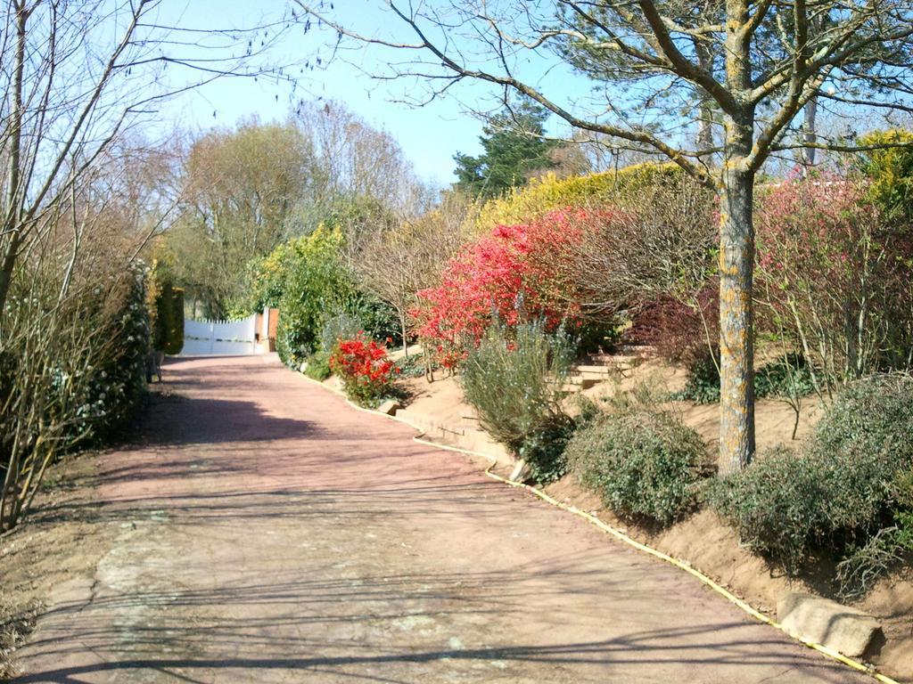 Mas Du Trezon Bed and Breakfast Cholet Exteriör bild